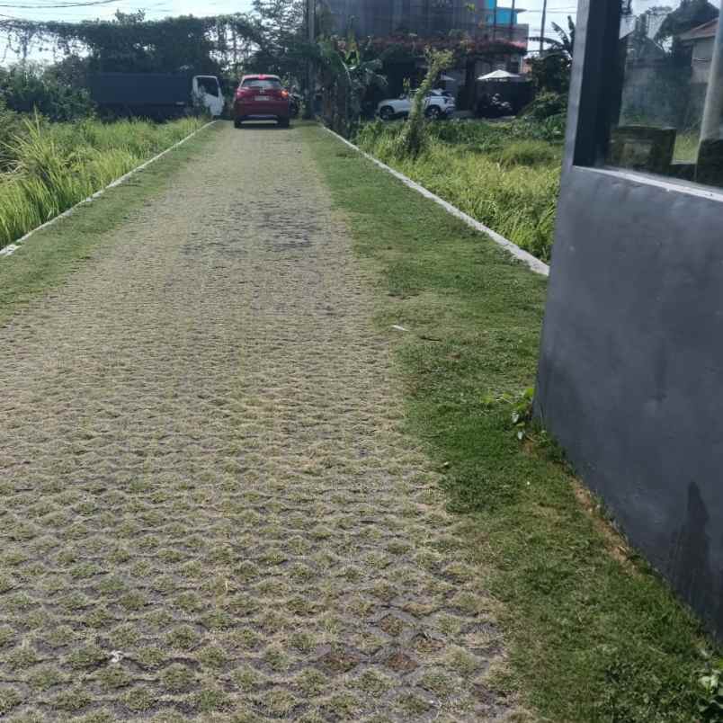 dijual tanah tegal cupek