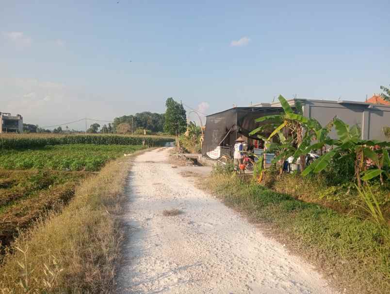 dijual tanah tibubiyu kerambitan