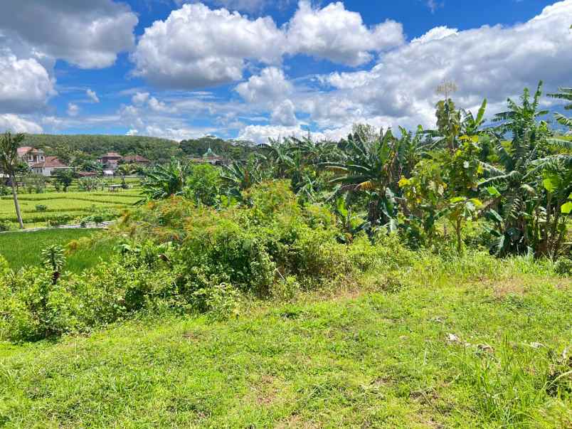 dijual tanah timur kantor kecamatan