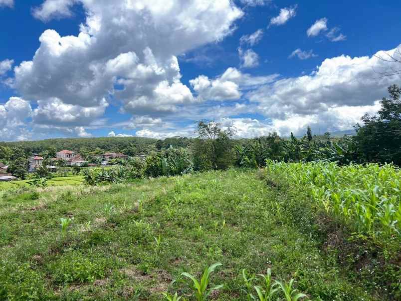 dijual tanah timur kantor kecamatan