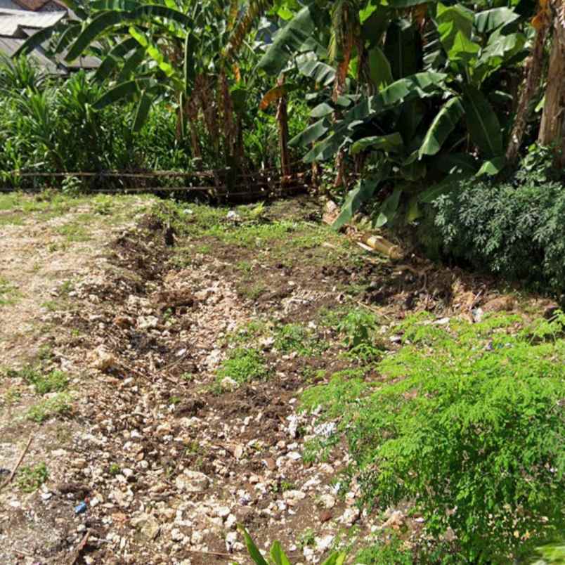 dijual tanah tunjung sari