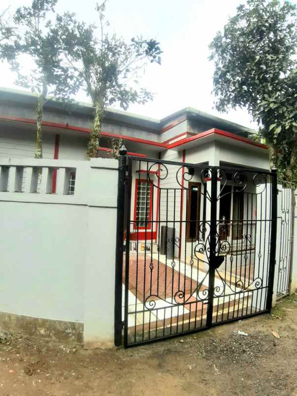 dikontrakkan disewakan rumah baru ciawi bogor
