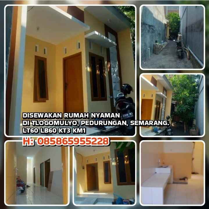 disewakan rumah tlogomulyo pedurungan semarang