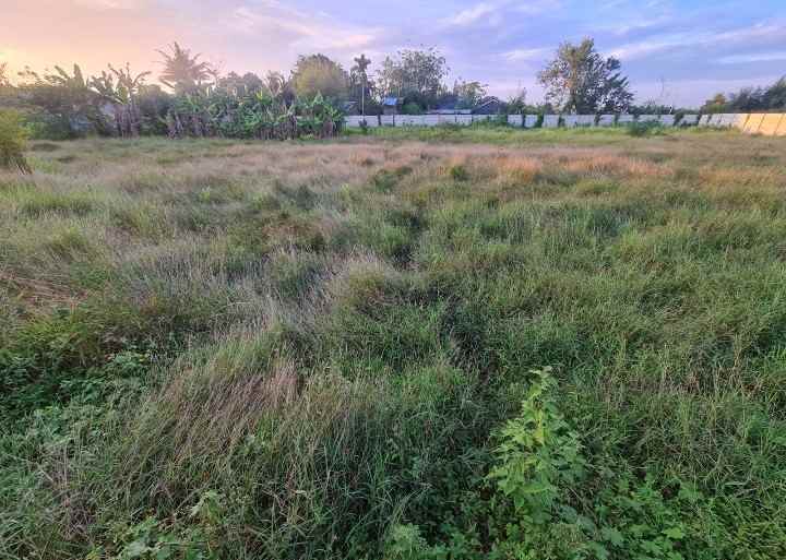 disewakan tanah gudang medan estate