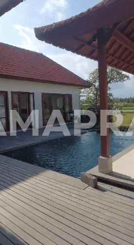 Sewa Villa Baru Full Furnished 3 Kamar Lokasi Tenang Nyaman Lodtunduh