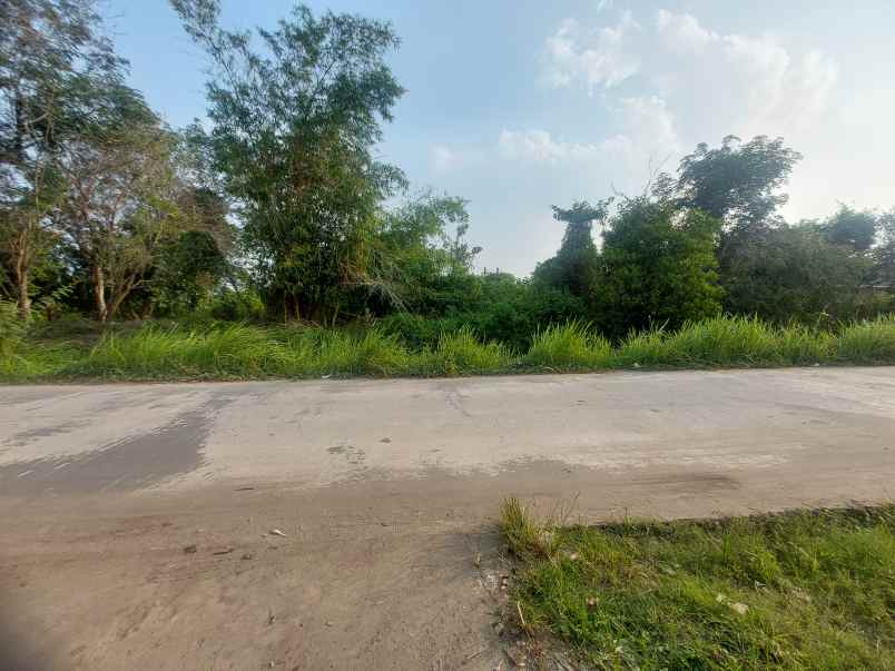 jual cepat tanah sukarami palembang shm