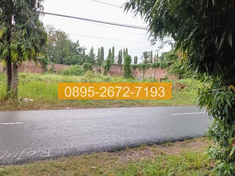 jual tanah di slawi tegal jawa tengah 49d2b8