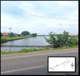 jual tanah kosong di kaliwungu kendal