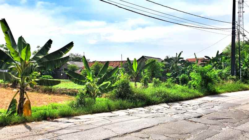 lahan tanah luas 60x41 2478m babelan bekasi