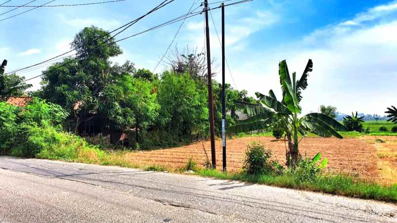 lahan tanah luas 60x41 2478m babelan bekasi