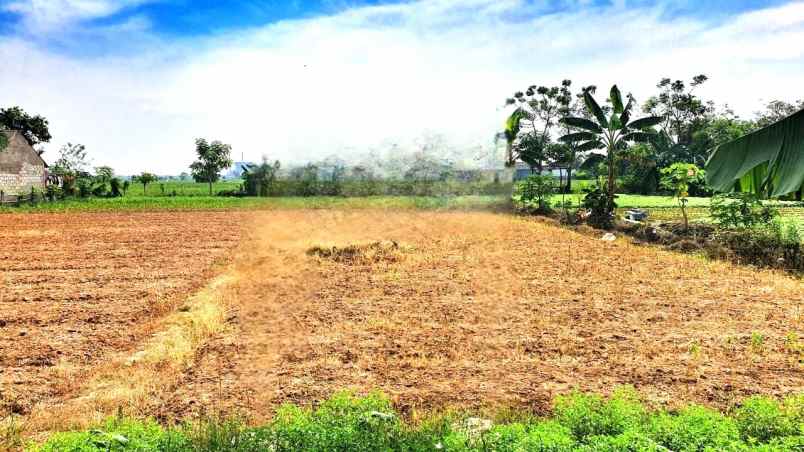 lahan tanah luas 60x41 2478m babelan bekasi