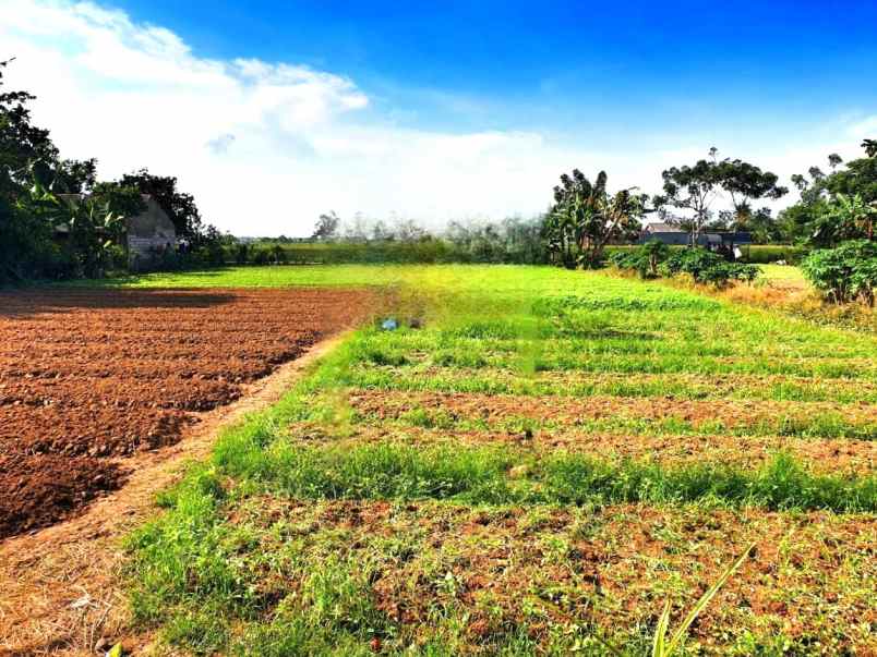 lahan tanah luas 60x41 2478m babelan bekasi