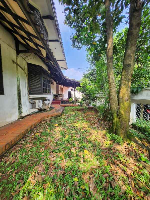 ngiler rumah bintaro 445m yang bikin iri tetangga 6m