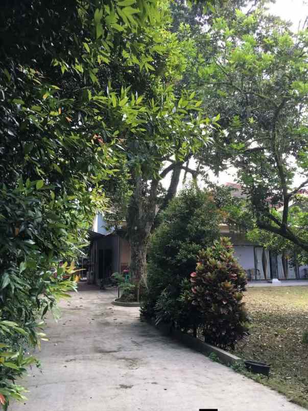 rumah asri luas di parung bogor belakang pasar parung