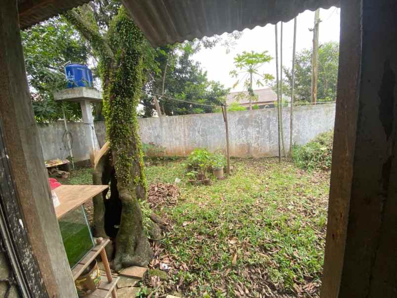 rumah jl cemara ii no 99 rt 003