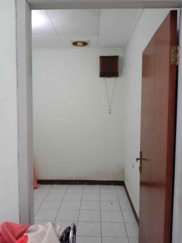 rumah kelapa nias kelapa gading