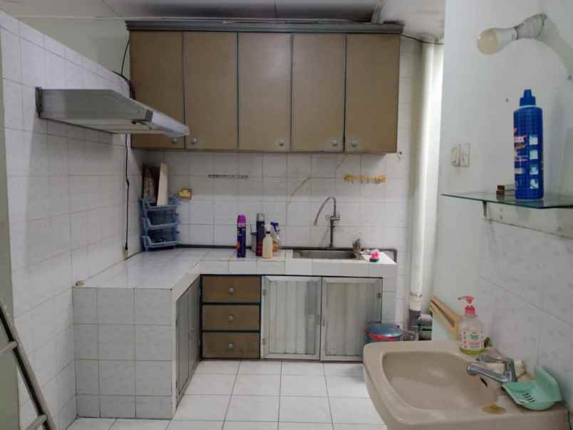 rumah kelapa nias kelapa gading