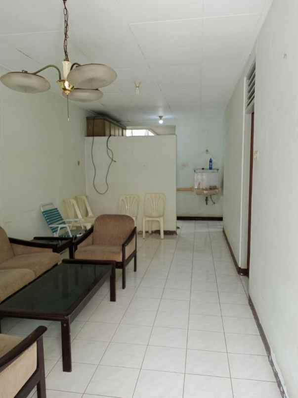 rumah kelapa nias kelapa gading