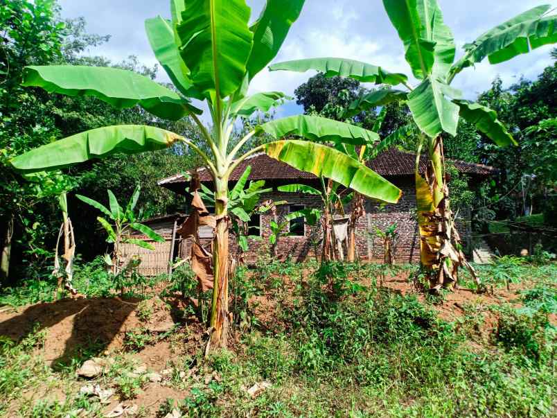 rumah kerjo karanganyar