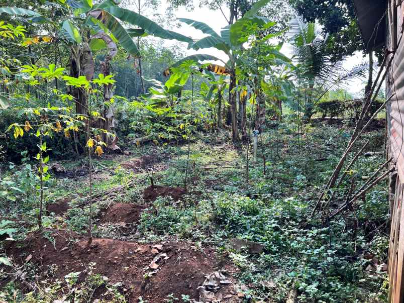 rumah kerjo karanganyar