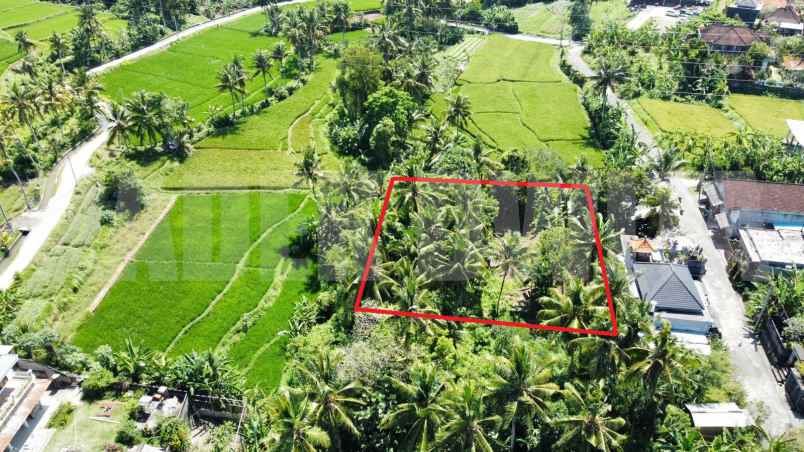 sewa tanah view sawah sungai ubud