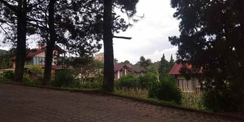 tana villa istana bunga lembang bandung