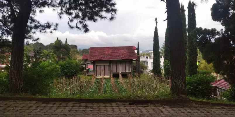 tana villa istana bunga lembang bandung