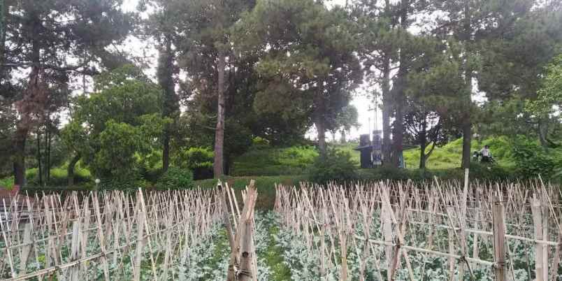 tana villa istana bunga lembang bandung