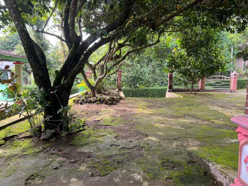 tanah 100jt dekat terminal batu jamus sragen