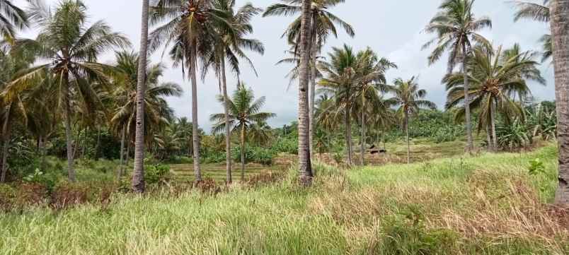 tanah ciparahu kec panggarangan