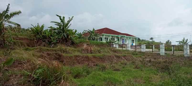 tanah ciparahu kec panggarangan