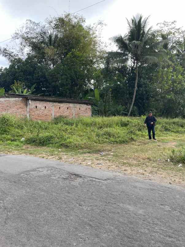 tanah cocok untuk investasi kalinegoro magelang