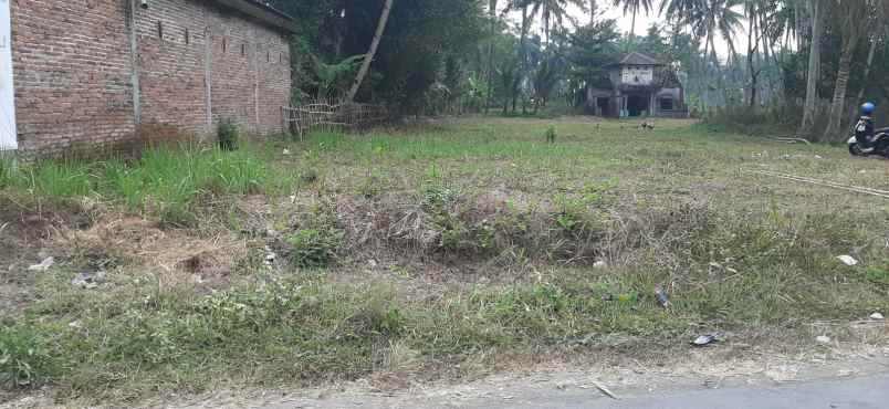 tanah cocok untuk investasi kalinegoro magelang