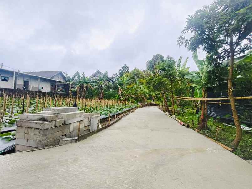 tanah datar tawangmangu 556m siap bangun villa