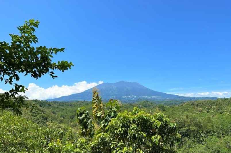 tanah dekat telaga ngargoyoso karanganyar