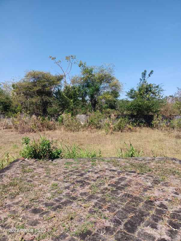 tanah di balangan bali hanya 900 meter dari pantai