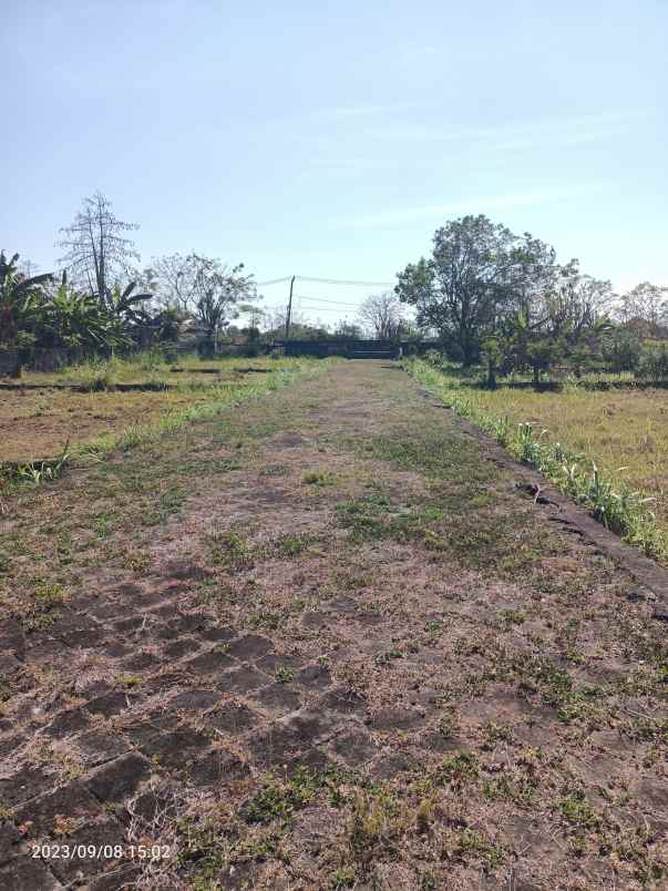 tanah di balangan bali hanya 900 meter dari pantai