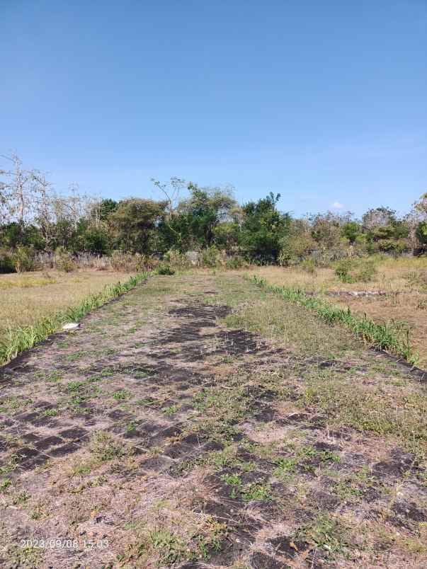 tanah di balangan bali hanya 900 meter dari pantai