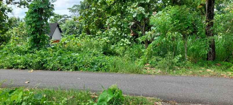 tanah dijual pinggir jalan lebar