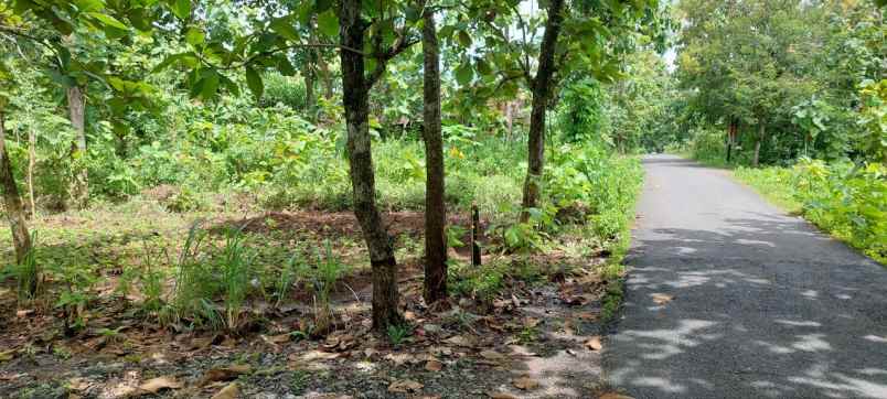 tanah dijual pinggir jalan lebar