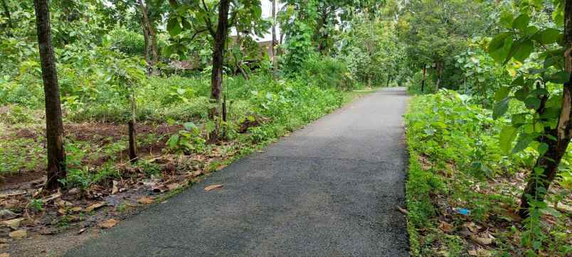 tanah dijual pinggir jalan lebar