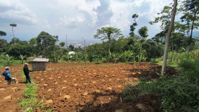 tanah istimewa pasir nanjung cimanggung kab sumedang