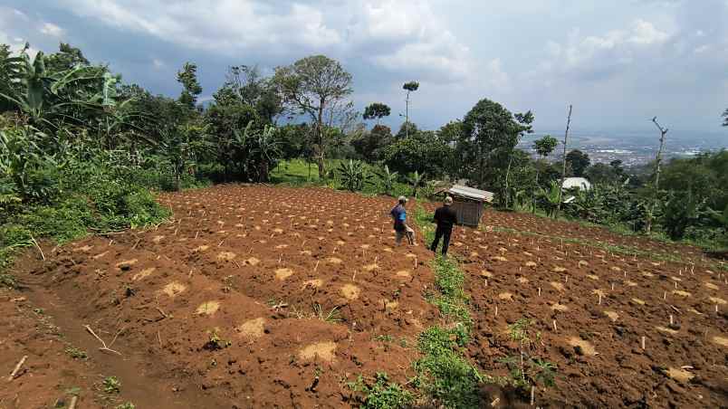 tanah istimewa pasir nanjung cimanggung kab sumedang