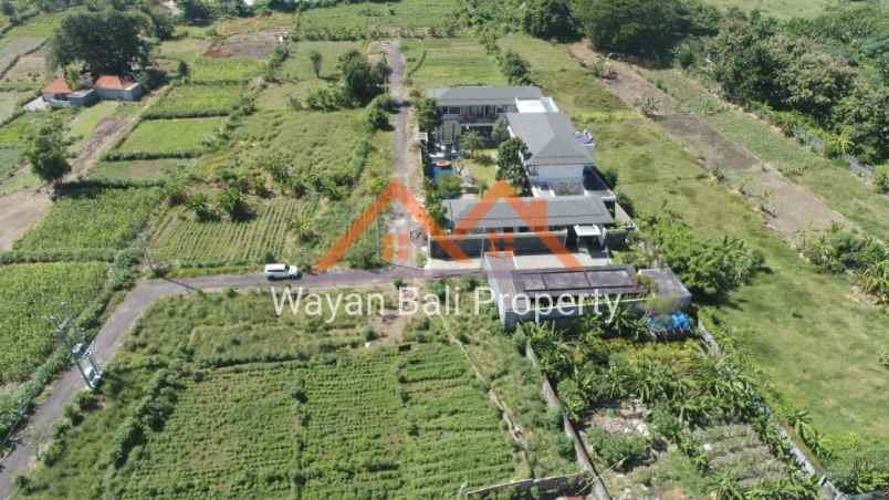 tanah jalan pantai matahari terbit