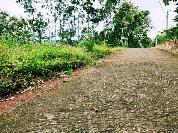 tanah karangpandan karanganyar