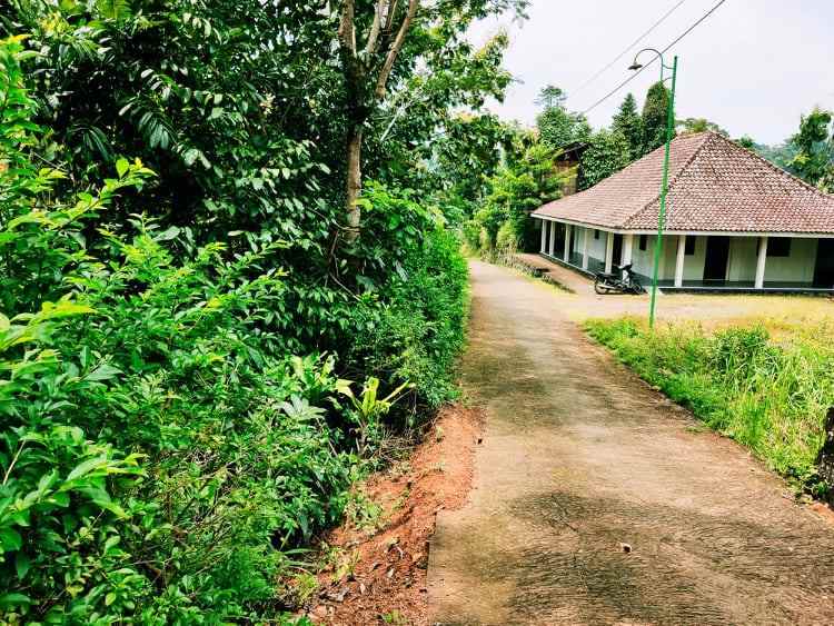 tanah karangpandan karanganyar