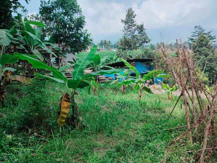 tanah karangpandan karanganyar