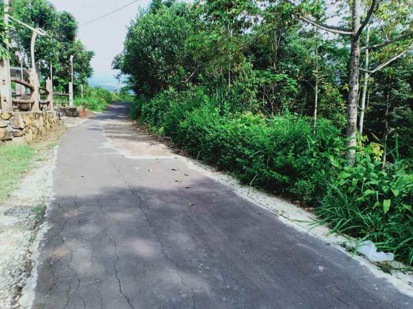 tanah karangpandan karanganyar