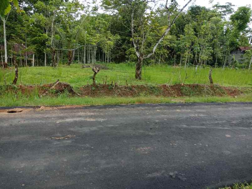 tanah karangpandan karanganyar