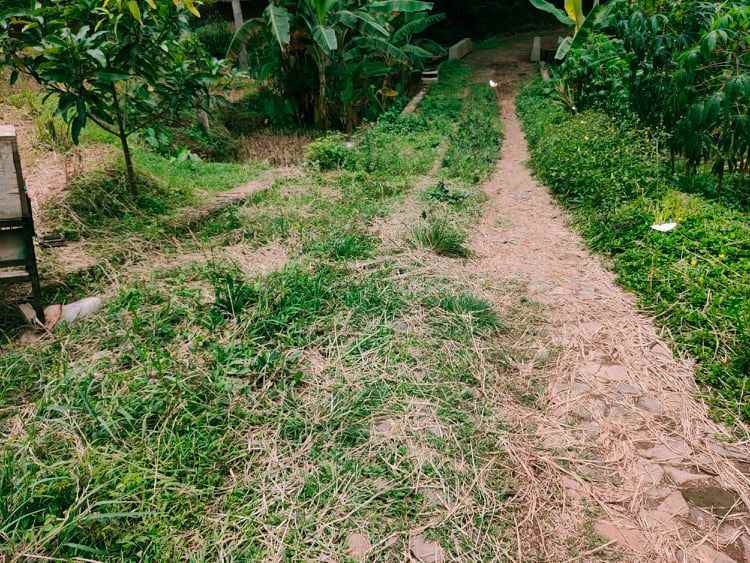 tanah karangpandan karanganyar